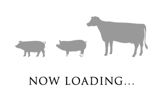 NOW LOADING