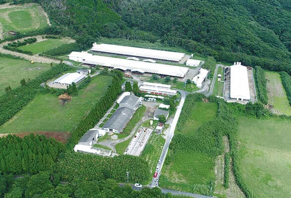 野尻野農場