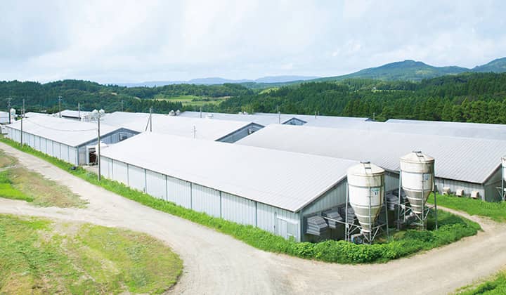 根占横別府農場