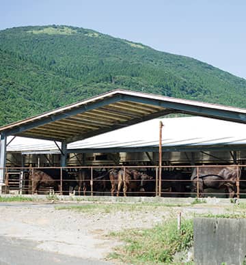 田代農場